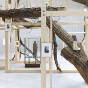 Danh Vo, πνεῦμα (Ἔλισσα), exhibition view. Courtesy of Stedelijk Museum 