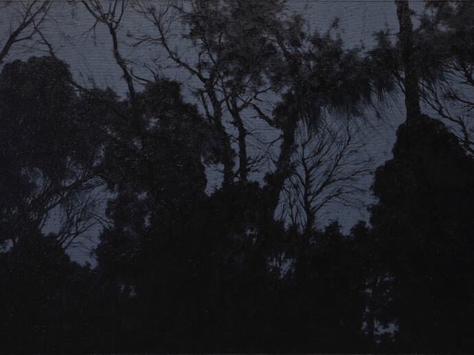 Pan Jian b. 1975, Shadows of Light 12, 2015, Oil on canvas, 110 x 190 cm (43 1/4 x 74 3/4 in.)