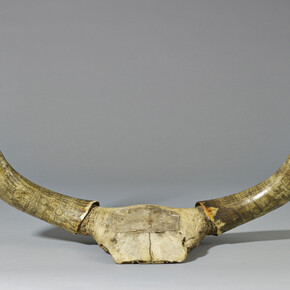 Zulu carved ox horns, South Africa, Late 19th Century Photo © The Trustees of the British Museum