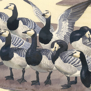 Second Nature. Courtesy of Royal Academy of Arts