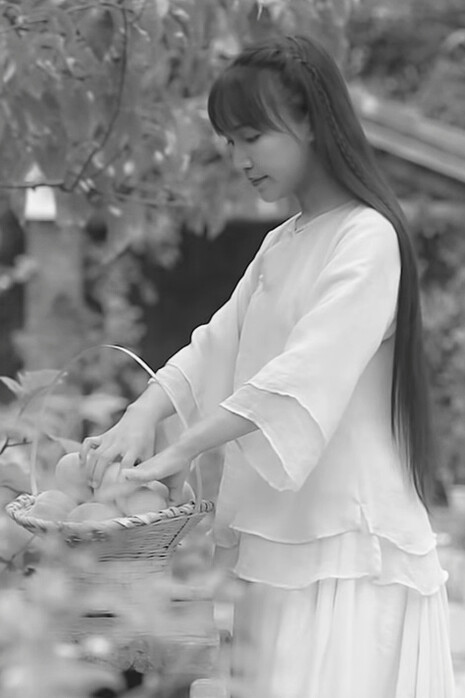 Li Ziqi, «vloggera» china