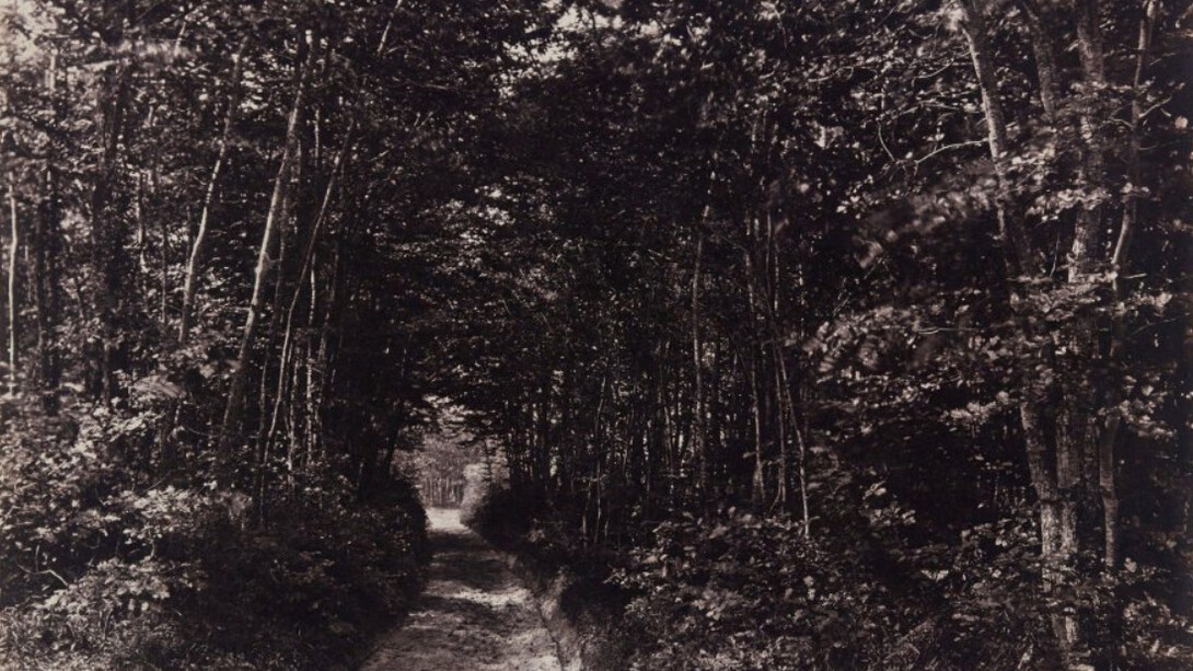 Eugène Cuvelier
Sendero en el bosque, 1850-1860
Papel a la sal. 25,2 x 33,6 cm
Bibliothèque Nationale de France, París
© Bibliothèque Nationale de France