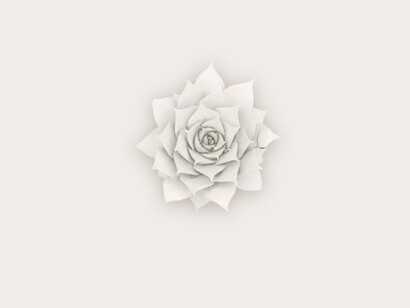 Plant, credit Rich Hendry