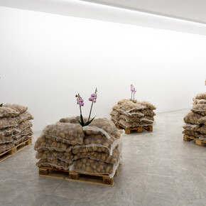 Álvaro Albaladejo, Alicia y Nilo, 2024. Courtesy of Centro Andaluz de Arte Contemporáneo. Photo by Pepe Mordón