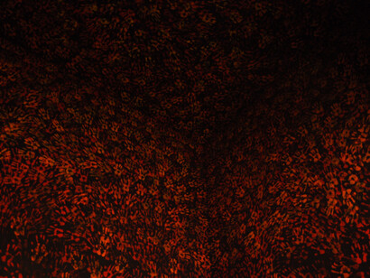 Claudio Parmiggiani, Cripta, 1994 