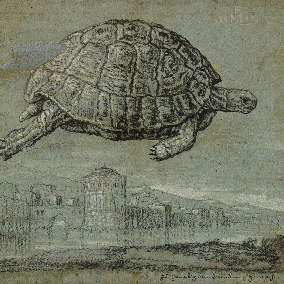 Lines of Thought. Courtesy of Risd Museum