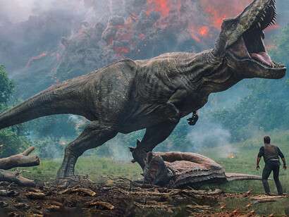 Nel corso dei milioni di anni trascorsi da quando la Terra si è formata, cataclismi terribili si sono succeduti, innumerevoli specie viventi sono scomparse ed altre si sono affacciate sulla terra