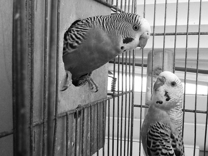 Hemos abierto una nueva etapa para nuestras relaciones