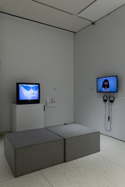 Smart to the Core. Courtesy of Smart Museum of Art