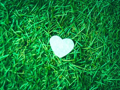 Corazón, qué sed