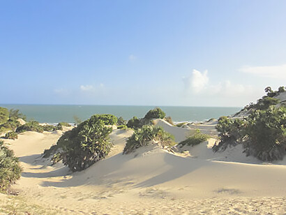 Discover the pristine allure of Shela Beach in Lamu, Kenya, offering serene sands and crystal-clear waters, ideal for blissful escapes and coastal adventures