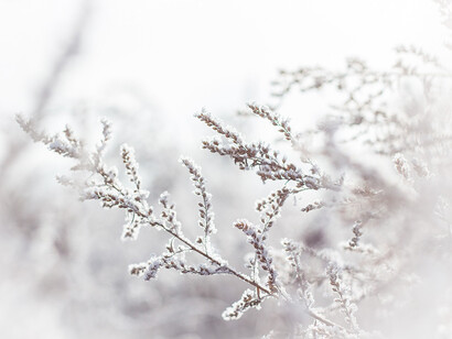 L'hiver. C’est avec un cœur un peu plus léger et joyeux qu’on accueille le mois de décembre 