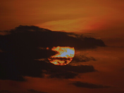 No fim, o lobo sabia que não iria adiantar esperar até o amanhecer para ver outra noite como essa acontecer
