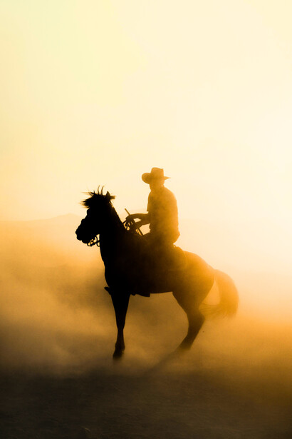 Horses are very sensitive creatures, after all