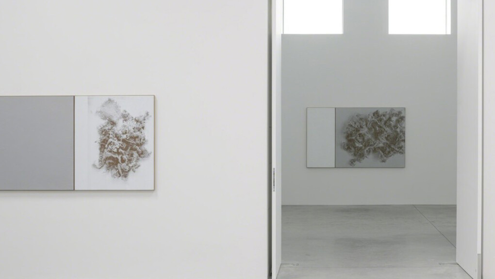 N. Dash. Courtesy of Zeno X Gallery