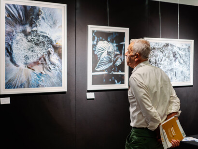 Europe Art Fair, 2024 edition. Courtesy of Europe Art Fair