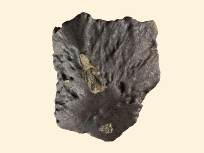 Meteorites. Courtesy of Field Museum