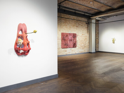 Zsófia Keresztes, The chamoile protocol, exhibition view. Courtesy of König Telegraphenamt 