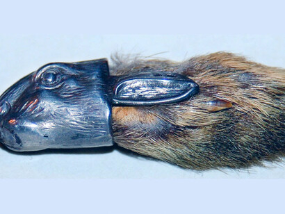 O pé esquerdo traseiro do coelho é uma superstição de sorte e fertilidade antigo