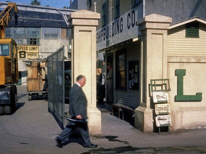 The Vertigo Project by Jean Curran. Courtesy of Danziger Gallery
