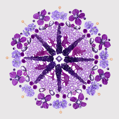 Paula Brett, Porphyrous Candala, 2014. Limited Edition Photograph, 20 x 20. Courtesy of Elisa Contemporary Art