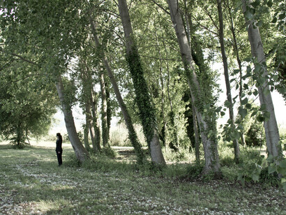 Stasi #5, dalla serie 'tabula rasa' 2013