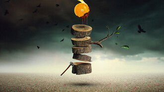 Elton Fernandes, The orange tree
