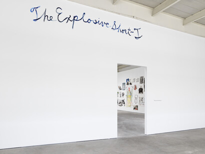Th' Explosiyv Shoyrt T, Exhibition view. Courtesy of David Zwirner