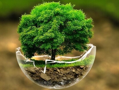Beautiful nature