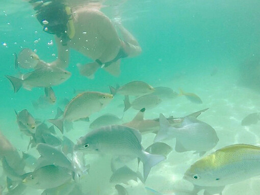 Pulau Payar Marine Park