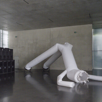 Cyprien Gaillard, When you expect flutes, it's whistles, ausstellungsansicht. Mit freundlicher genehmigung des Kunsthaus Bregenz