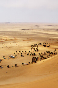 The Namib desert
