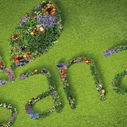 Logo of Sana 2012, Exhibition of Organic and Natural products.