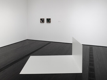 Contemporary Focus: Leslie Hewitt. Courtesy of Menil