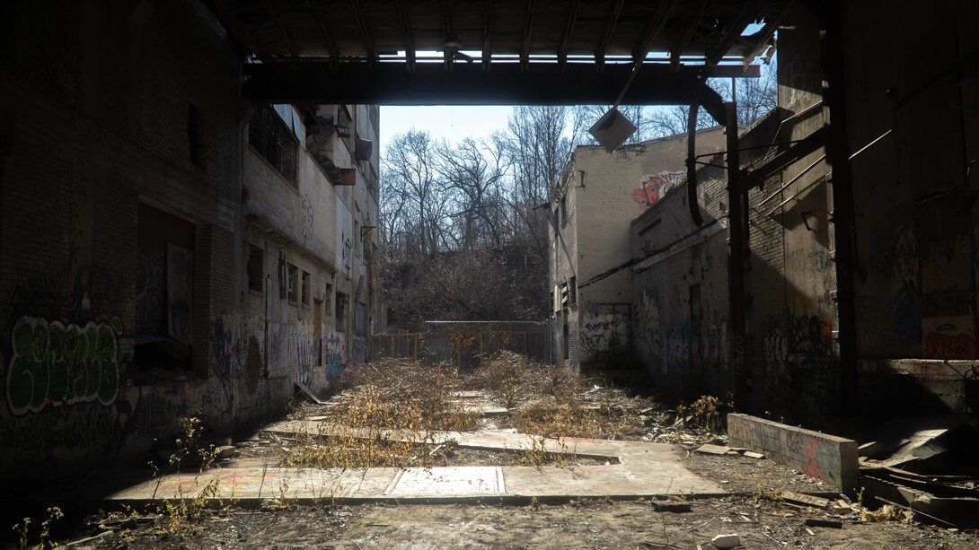Todos somos Weener. La sentencia que abre el libro es una mirada escéptica sobre la naturaleza humana