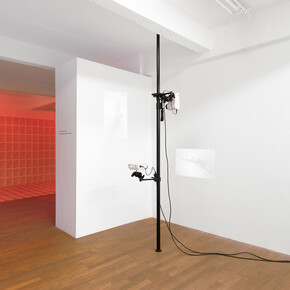 Luc Schuhmacher. Courtesy of Backslash Gallery