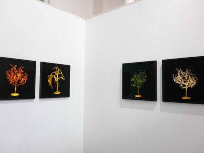 Roberto Huarcaya, Seeing by contact, exhibition view. Courtesy of Ponce + Robles Gallery