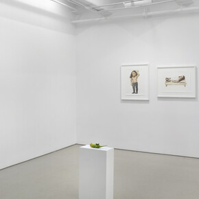 In the Bedroom. Courtesy of Jack Shainman Gallery