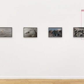 Ornella Fieres, We will all be here always, 2023, installation view, © Ornella Fieres. Courtesy of signs and symbols, New York