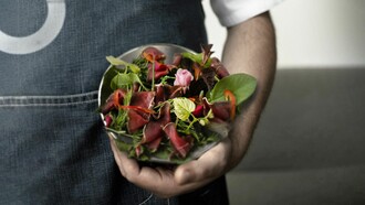 Una nuova sfida enogastronomica: la nuova cucina 