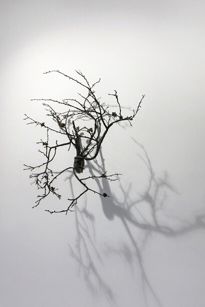 Javier Pérez. Courtesy of KETELEER Gallery
