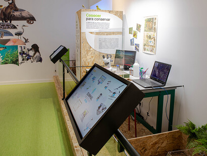 Andalucía laboratorio de biodiversidad, vista de exhibición. Cortesía de Casa de la Ciencia
