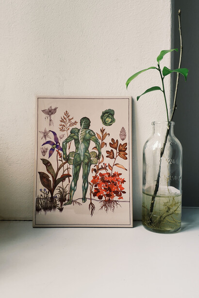Um quadro de plantas e um corpo humano de costas. Ao lado, uma garrafa de vidro com uma planta