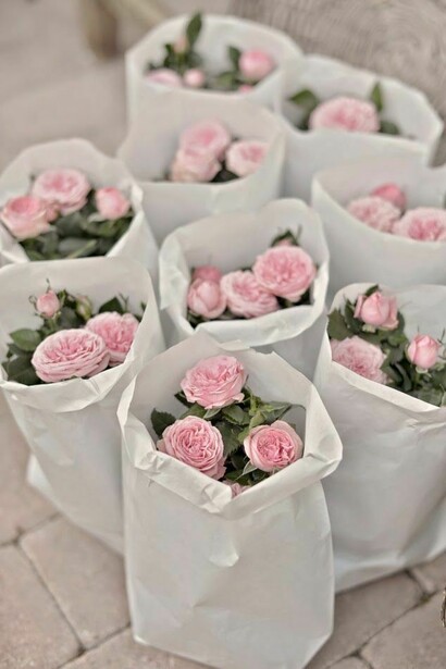 Una rosa è una rosa