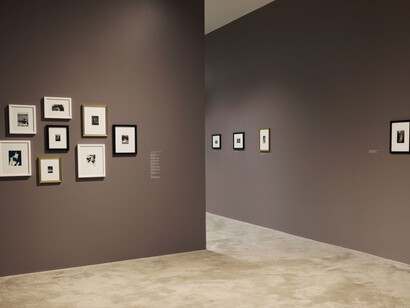 Various artists, And I saw new heavens and a new Earth, exhibition view. Courtesy of CAM