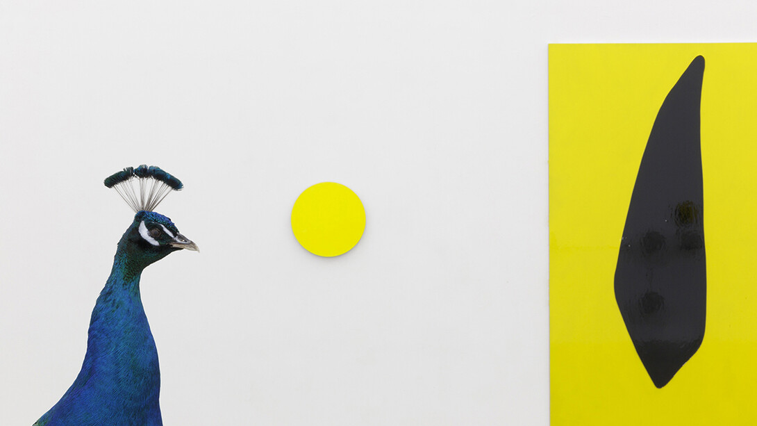 Thomas Grünfeld & Gary Hume, Iron & Diamonds, Massimo De Carlo, Milano, 2014, Photo by Roberto Marossi, Courtesy Massimo De Carlo, Milano/London