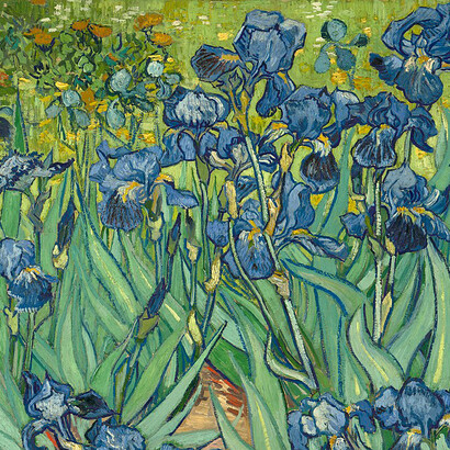 Vincent van Gogh; Irises, 1889 (detalle)