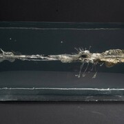 Line of sight. Courtesy of Mudac