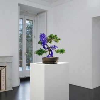 Agnieszka Kurant, Variantology, vista della mostra. Cortesia di Lia Rumma Gallery