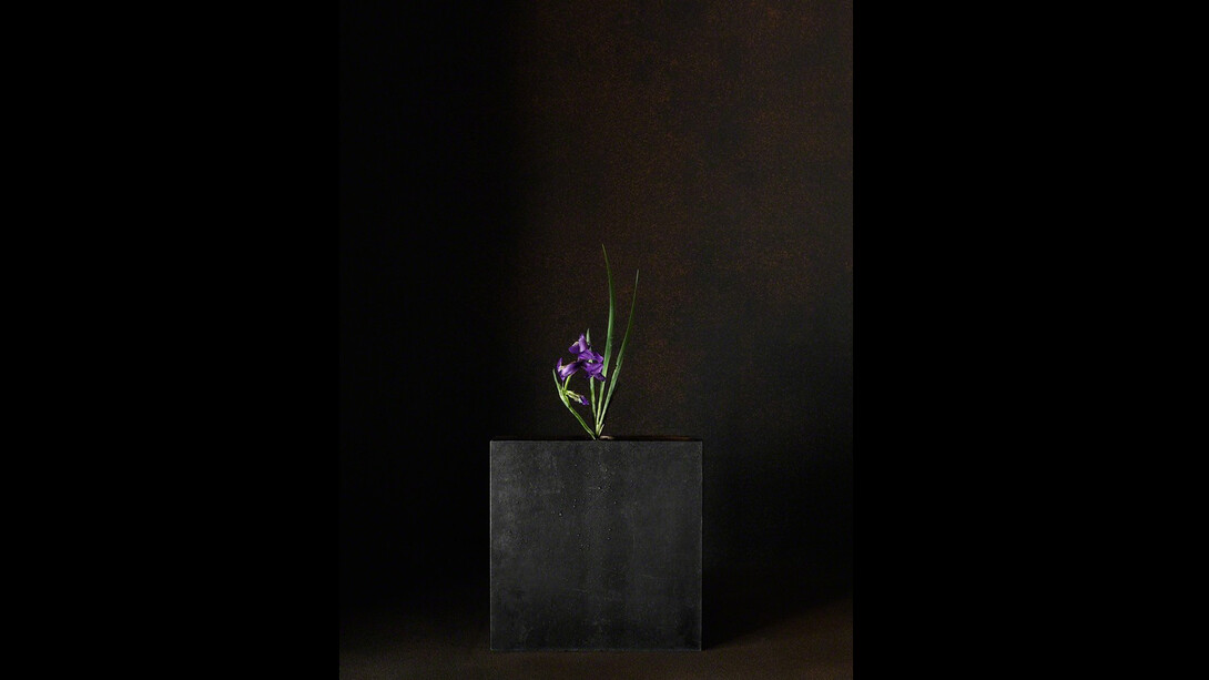 A Stage. Courtesy of Galerie marie-robin